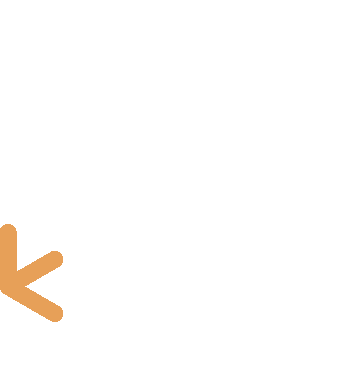 networkio